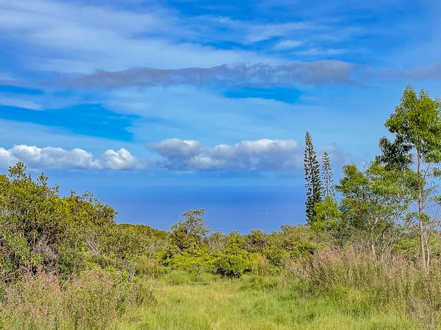 $535,000 | 59 Lot 59-a Papaaloa Hi 96780 | Papaaloa