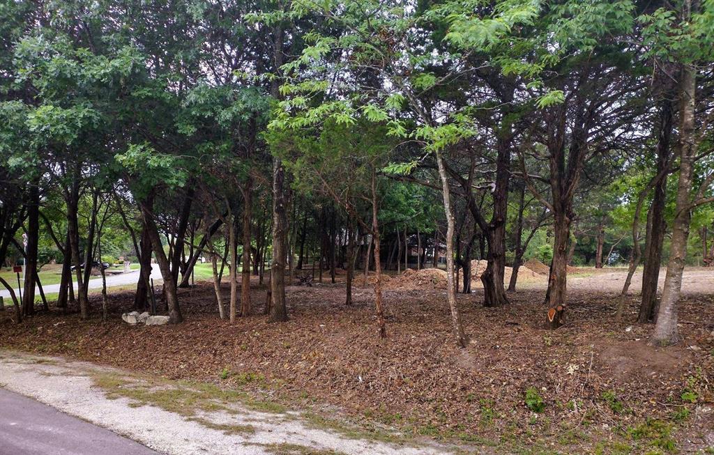 a view of outdoor space with trees