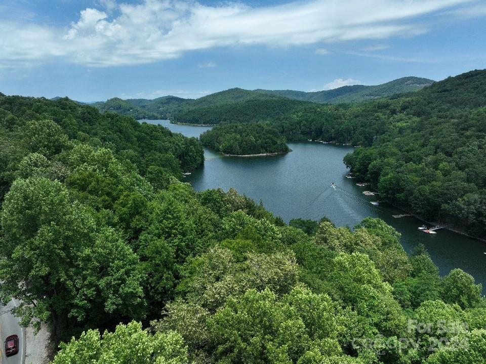 an aerial view of green landscape with trees houses and mountain view