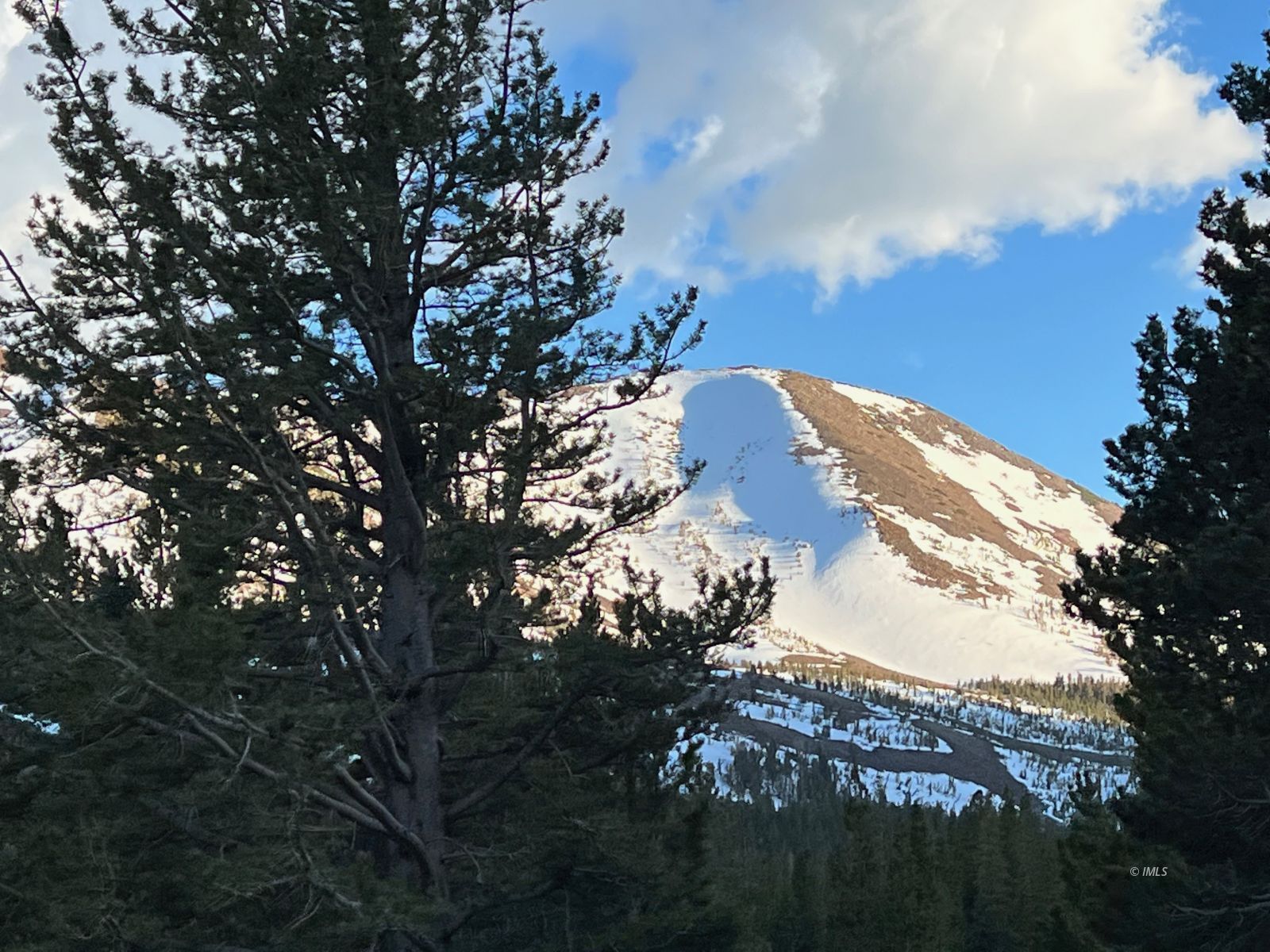 a view of mountain view with lots of trees