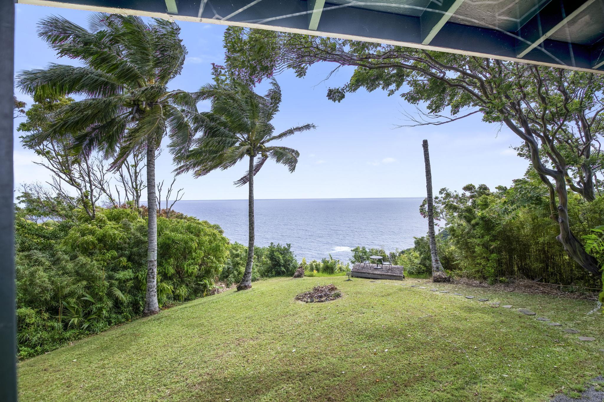 a view of a backyard