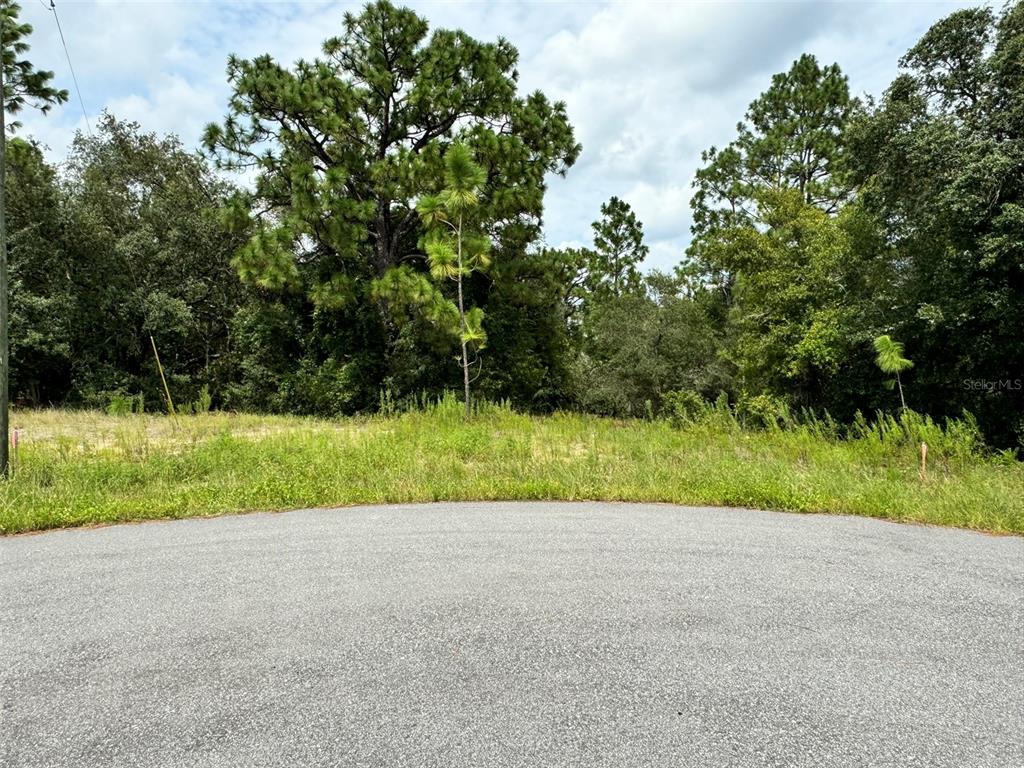 a view of outdoor space and yard