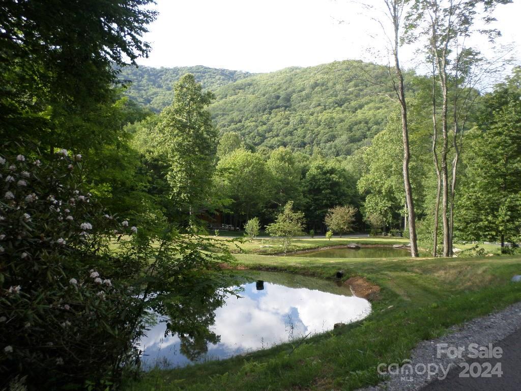 a view of a backyard with large trees