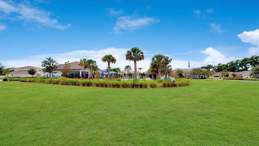 Bonsai Trees for sale in Vero Beach, Florida