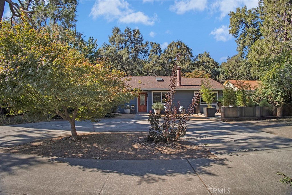 a front view of a house with a tree