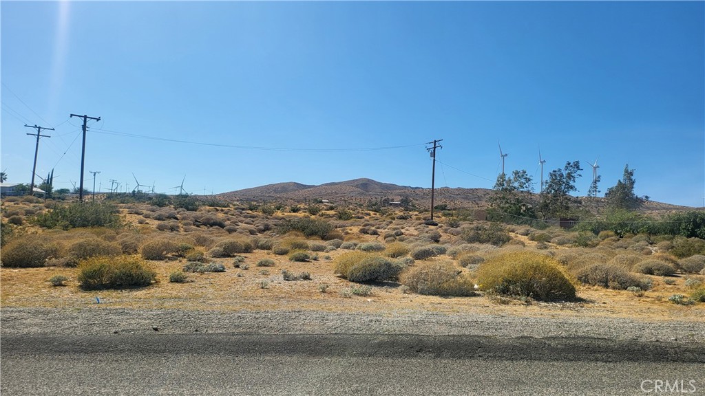 a view of a dry yard