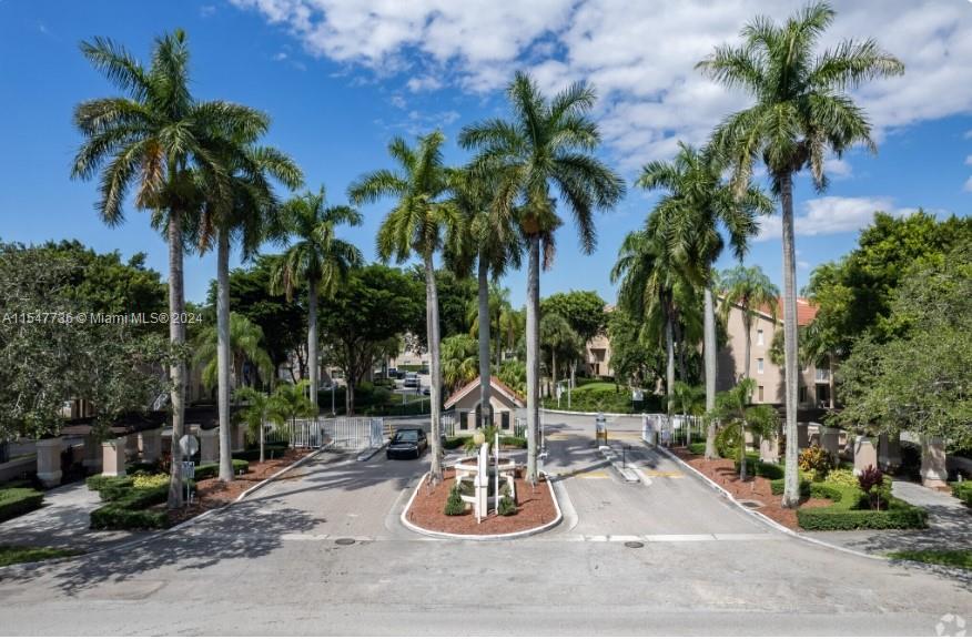 a view of a backyard with a palm tree