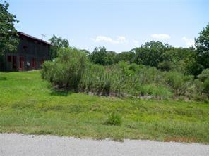 a view of a lush green space