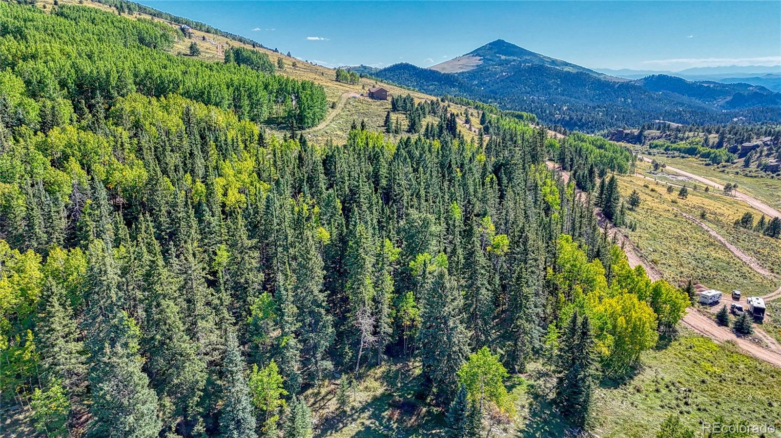 a view of a lush green forest with a mountain