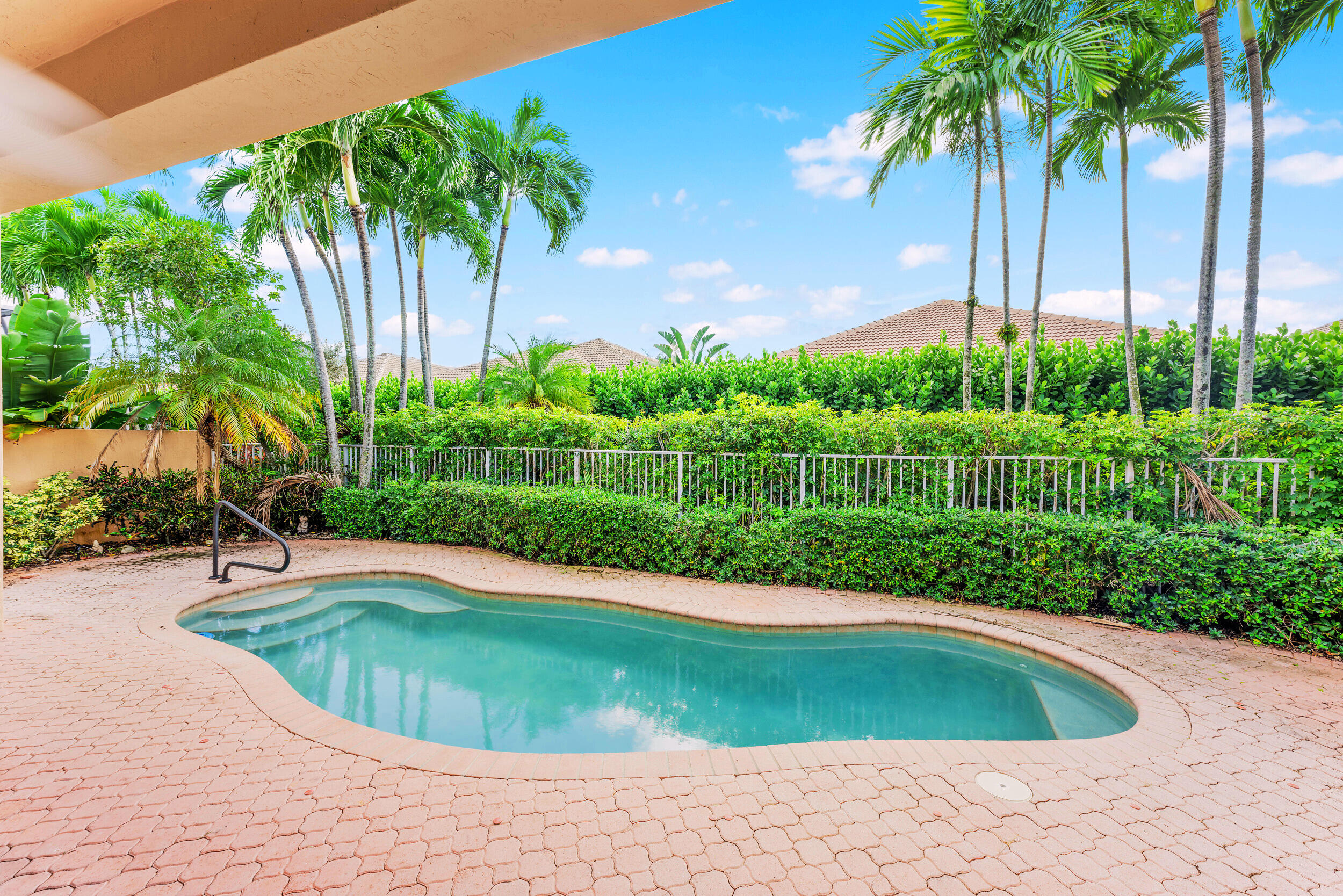 a view of a swimming pool with a garden