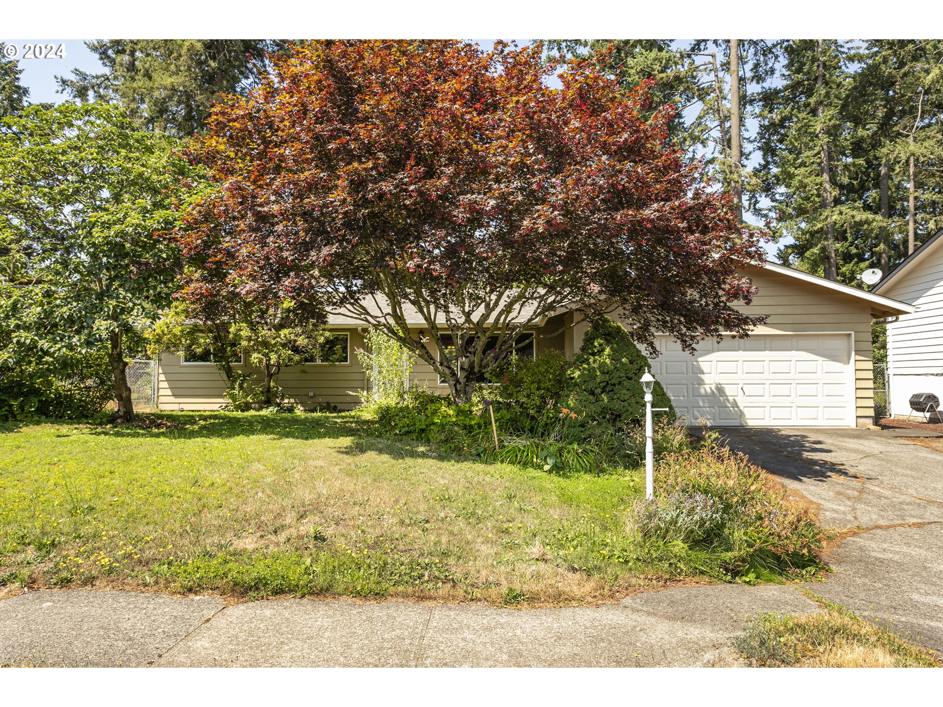 a view of yard with tree