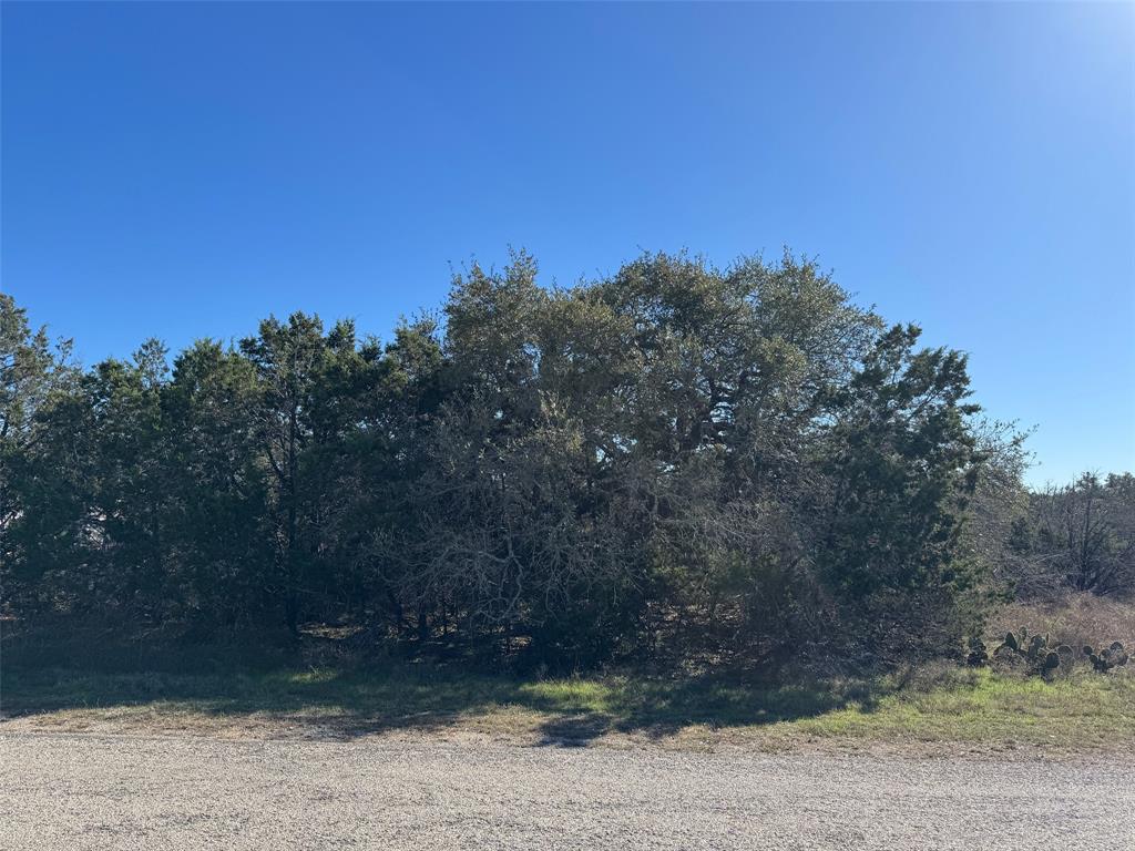 a view of a yard with a tree