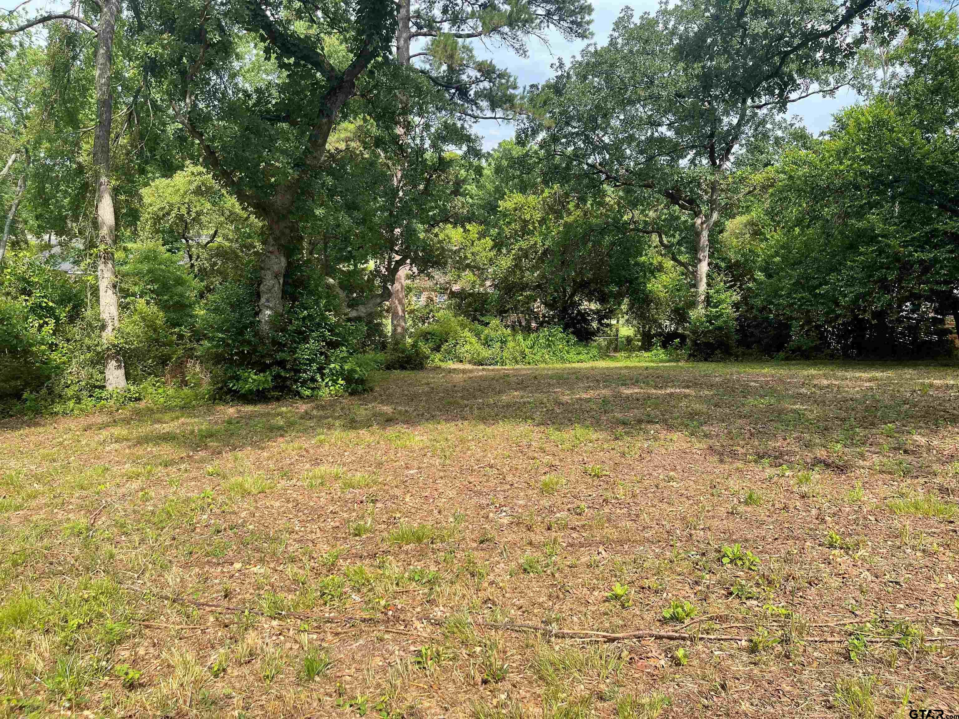 a view of a yard with a trees