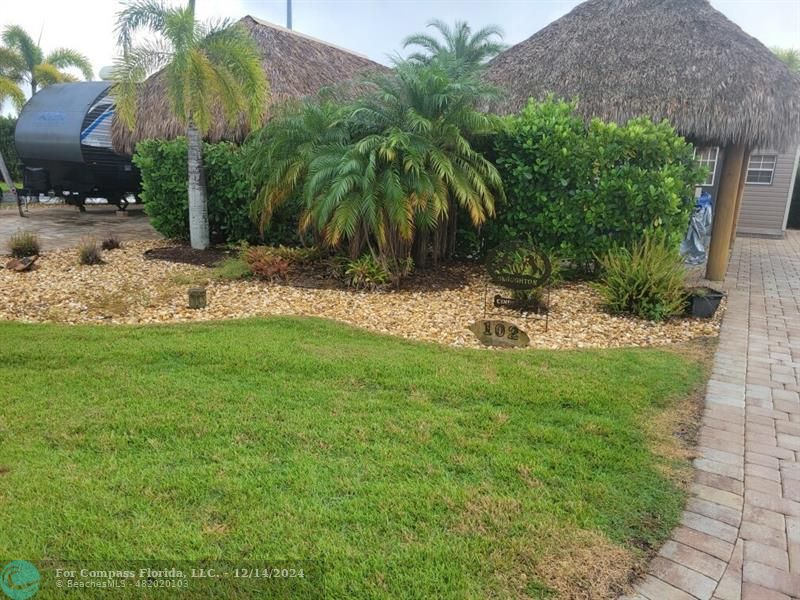 a view of a backyard with palm trees