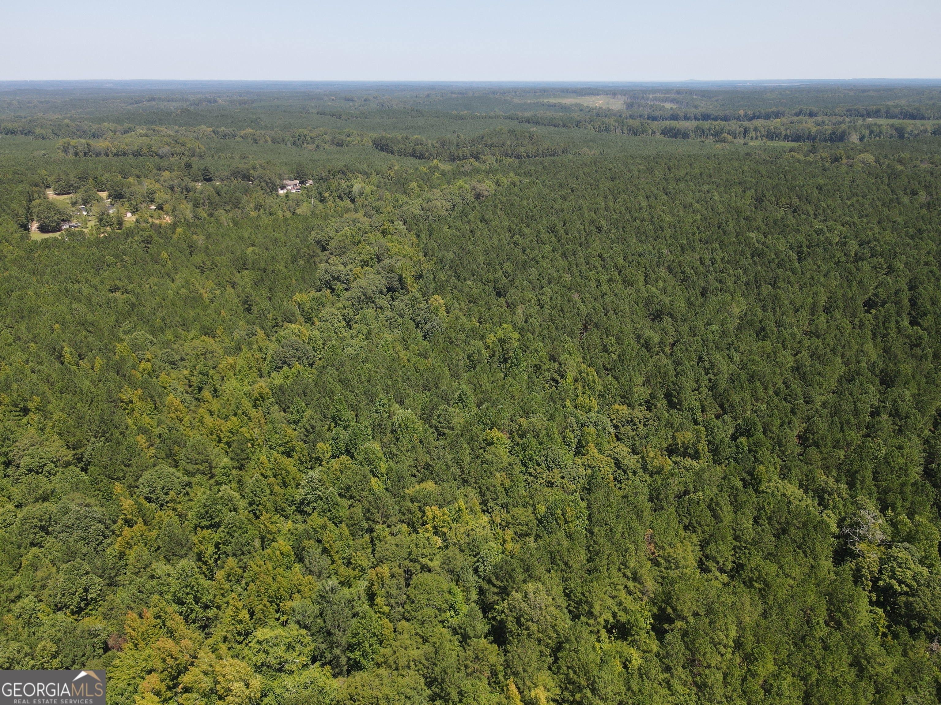 a view of a city with lush green forest