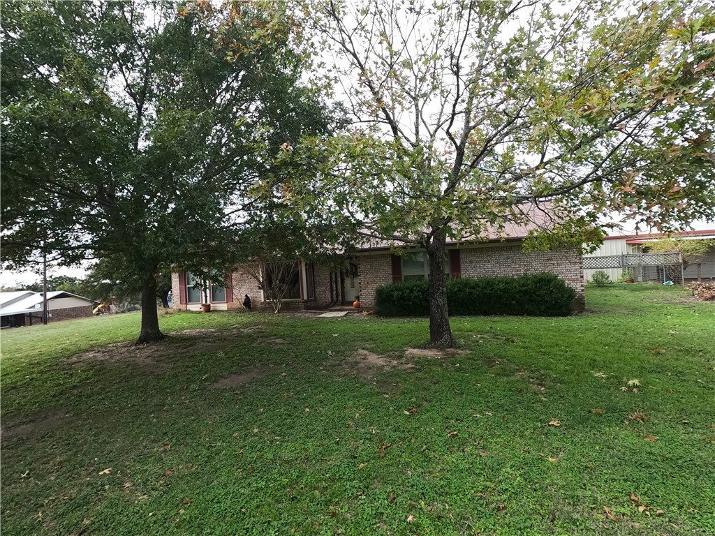 a view of a yard with a tree