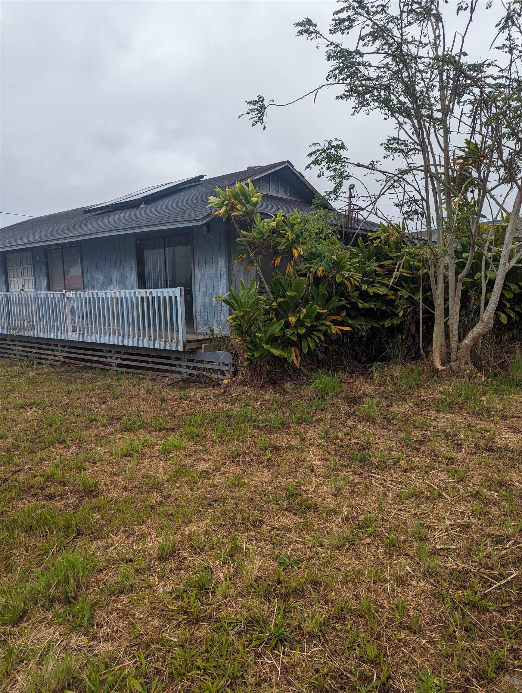 a view of a backyard of the house