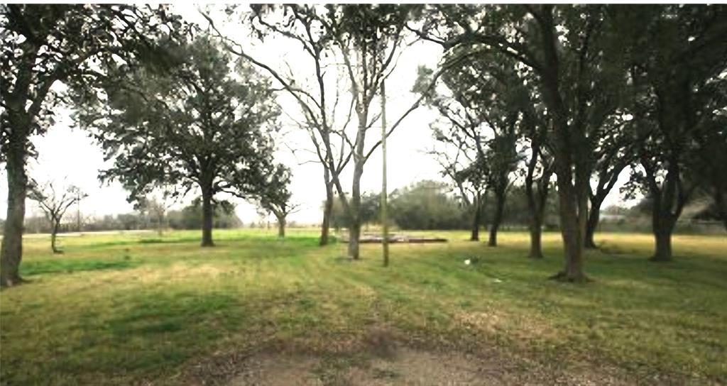 a view of outdoor space with green field and trees