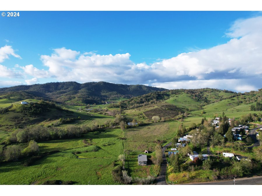 a view of a city with lush green forest