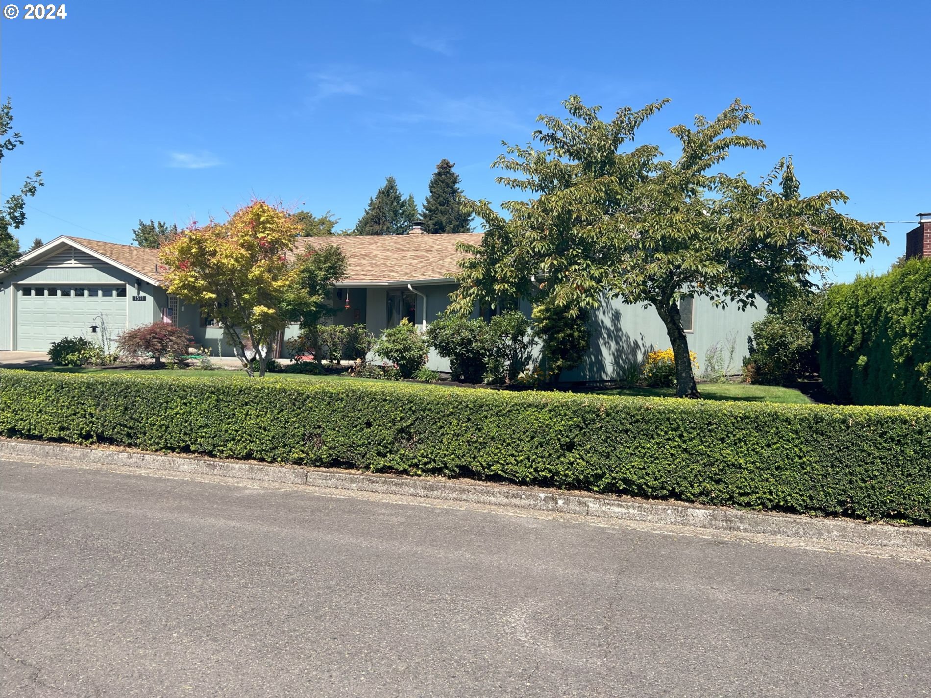 a view of a house with a yard and large tree