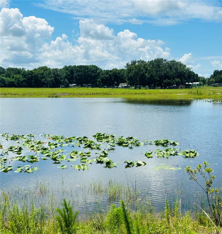 a view of a lake with a house in the background