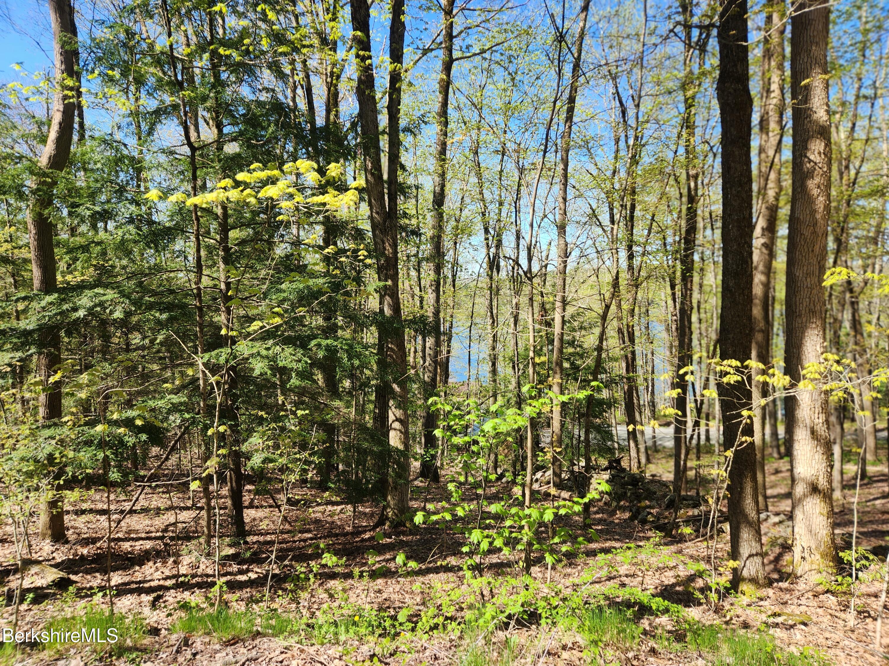 a view of outdoor space with lots of trees