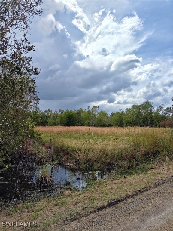 a view of a lake from a yard