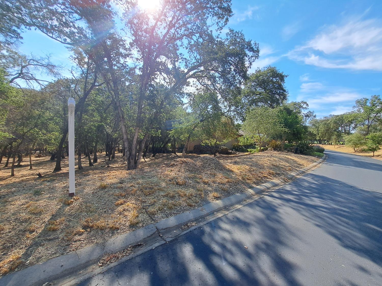 a view of a yard with trees