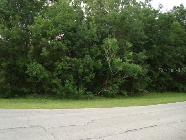 $29,900 | Tbd Southeast Tbd Se 74th Avenue