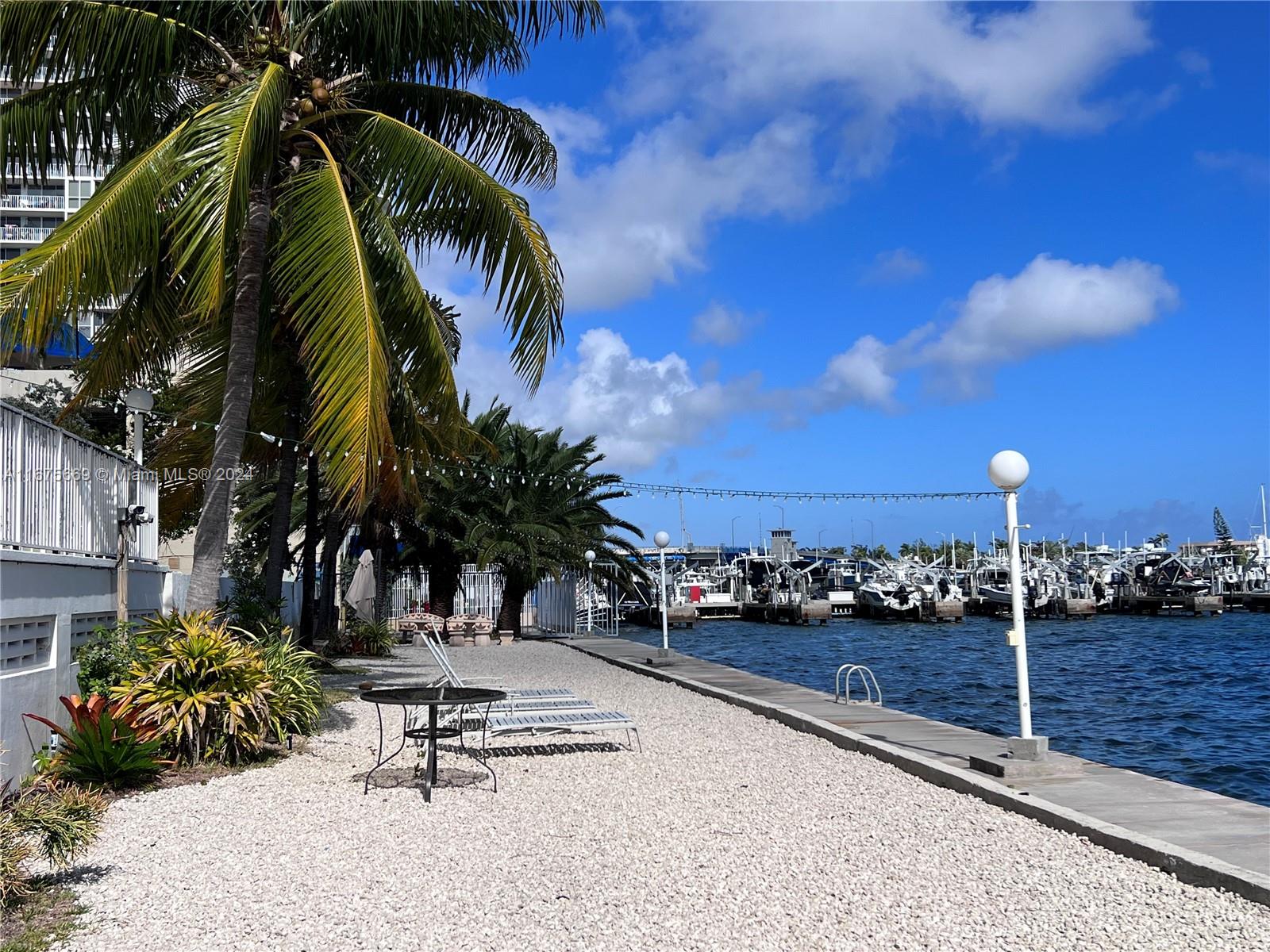 a view of a park with palm trees