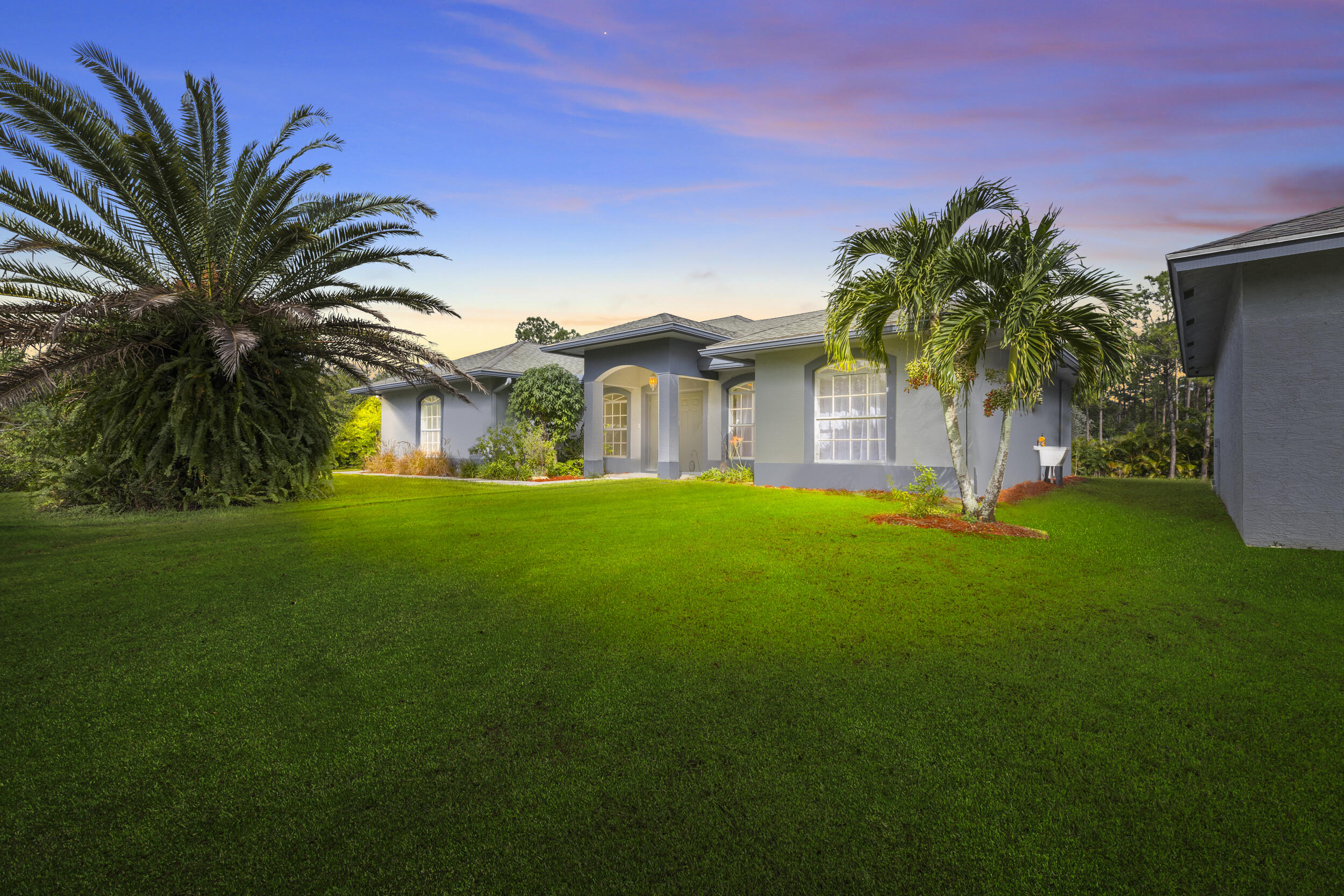 a garden with palm trees