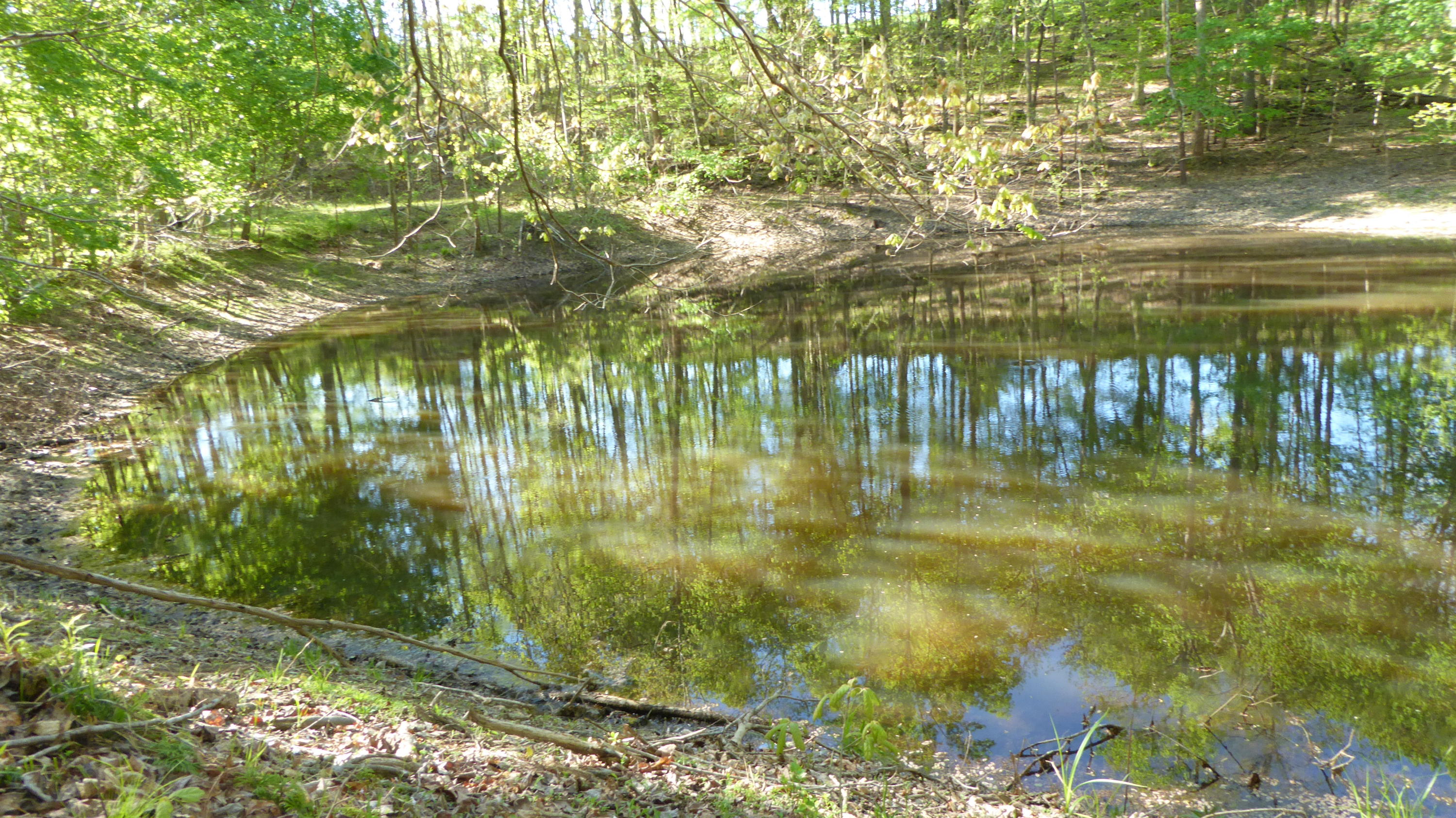 a view of lake