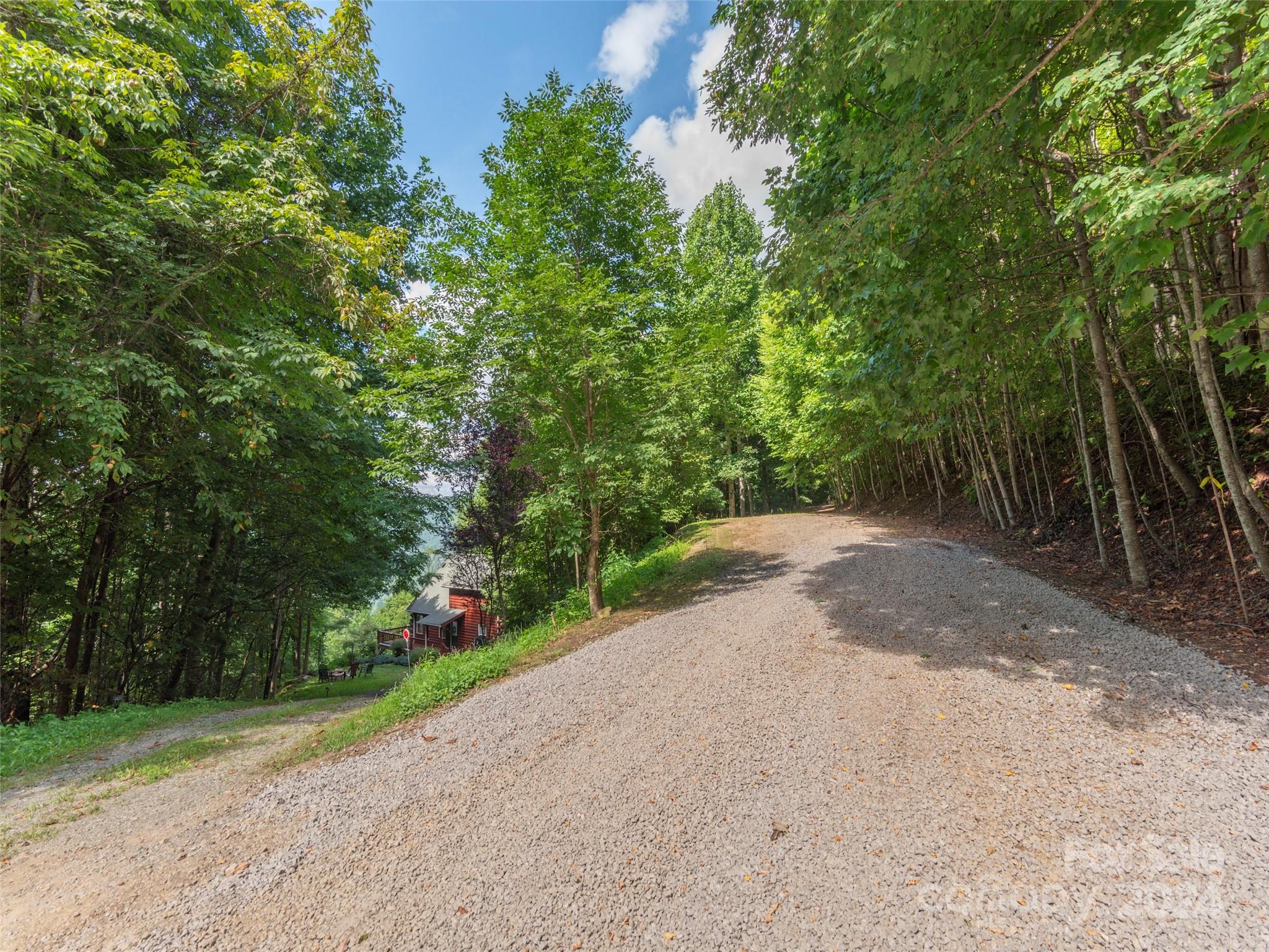 a view of a road with plants and trees