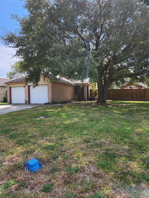 a view of a backyard with large trees