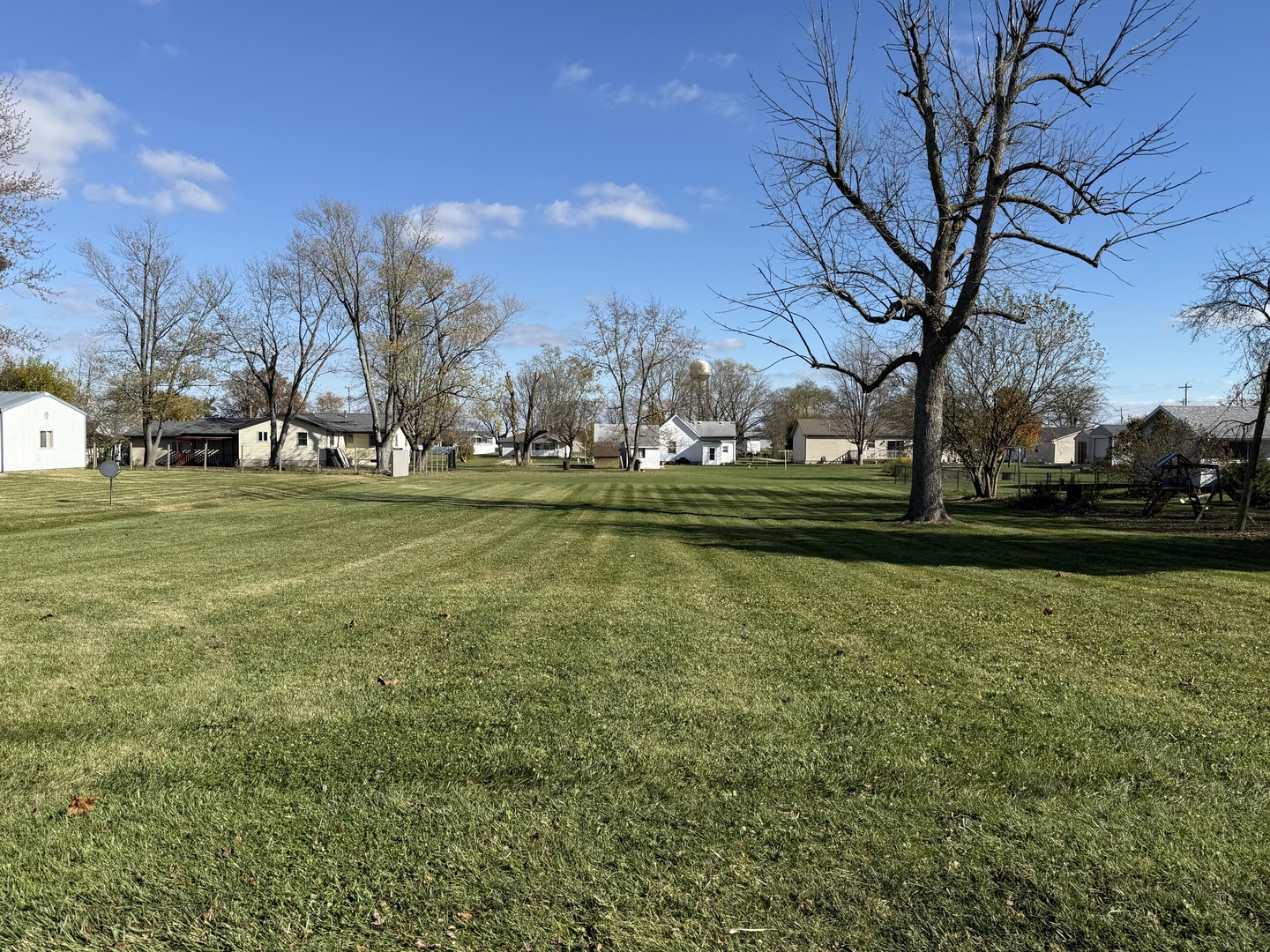 a view of a field with large trees