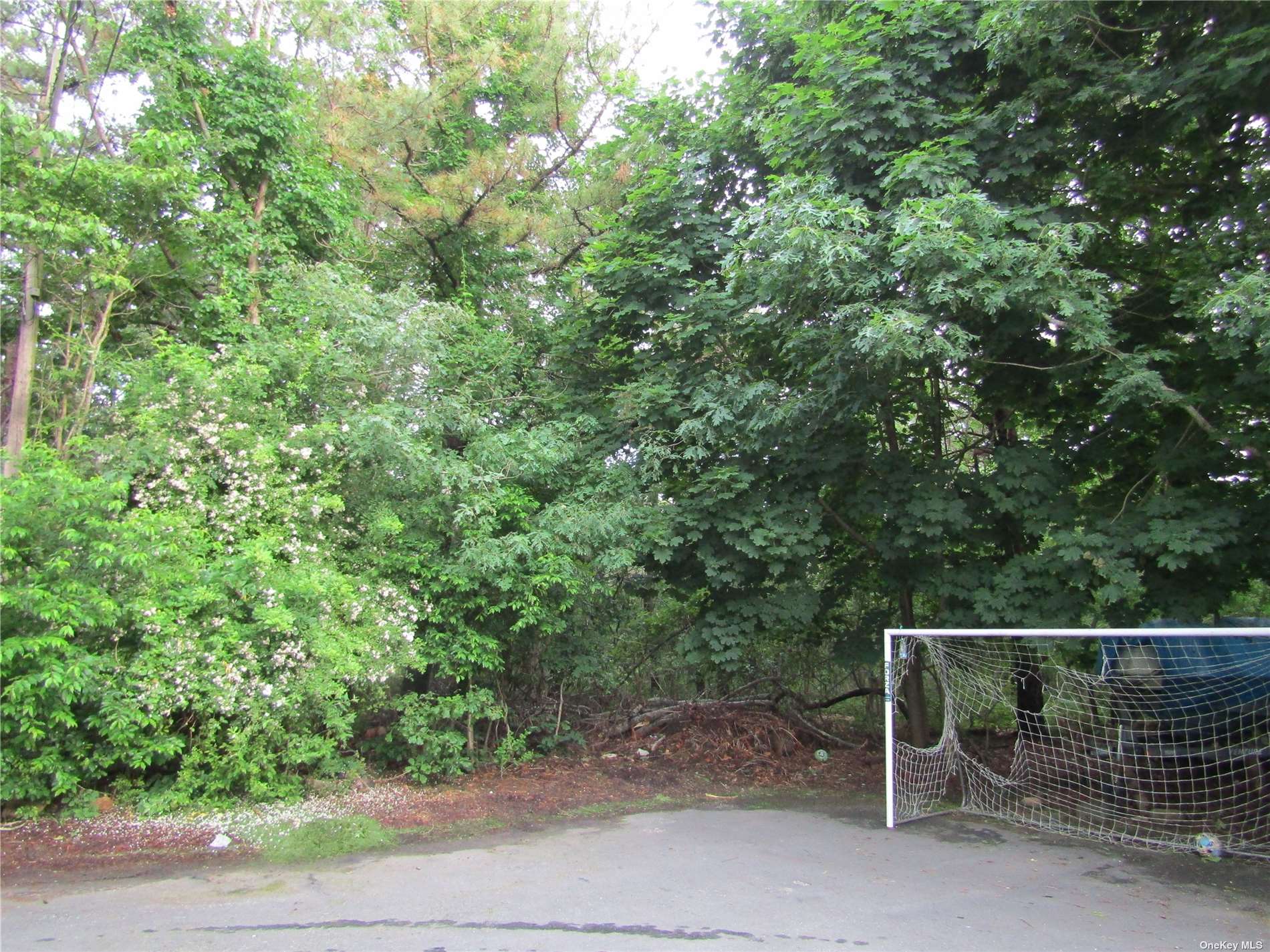 a wooden fence with trees in the background