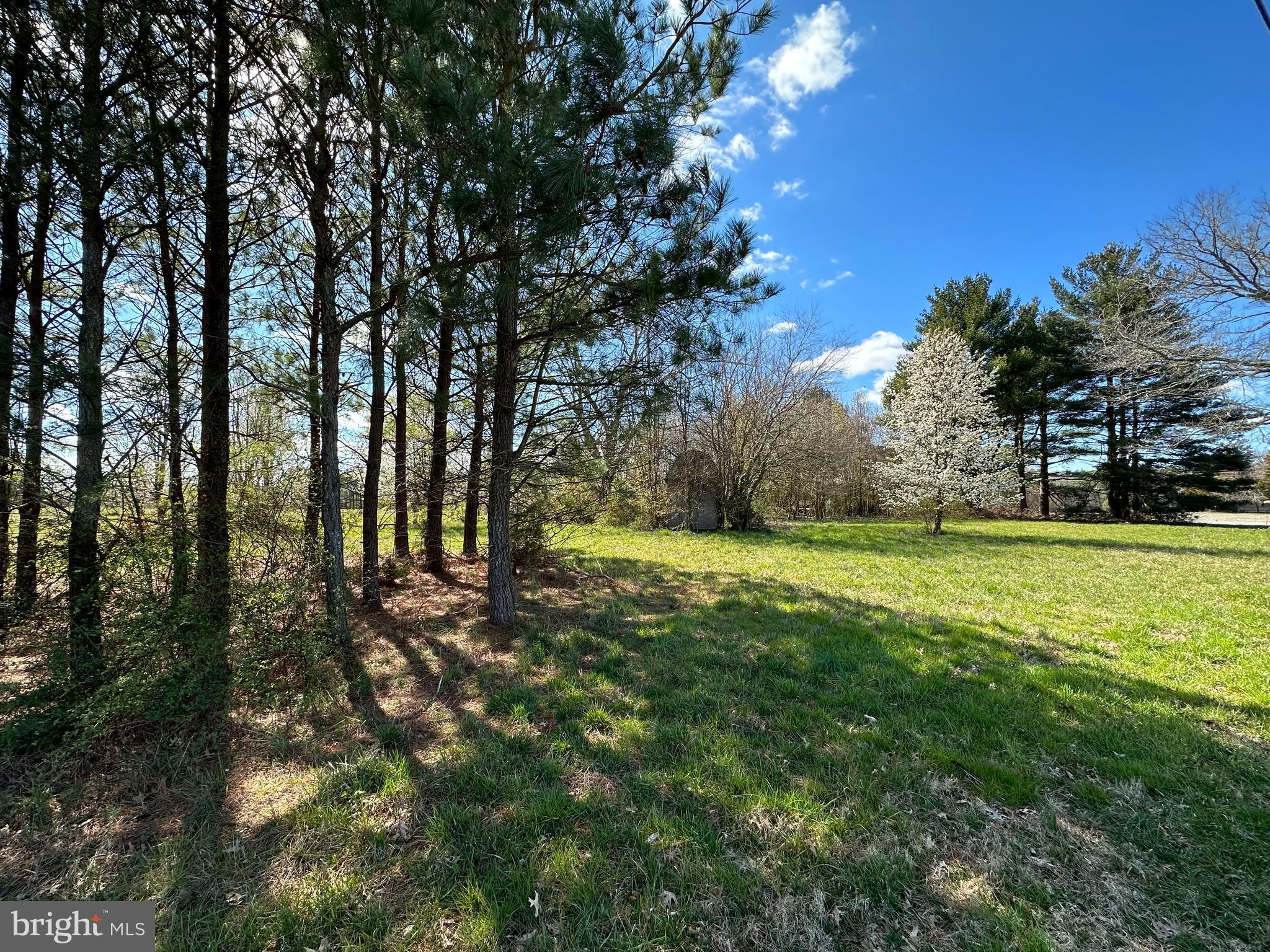 a view of yard with green space