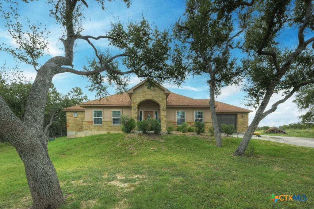 a front view of house with yard and green space