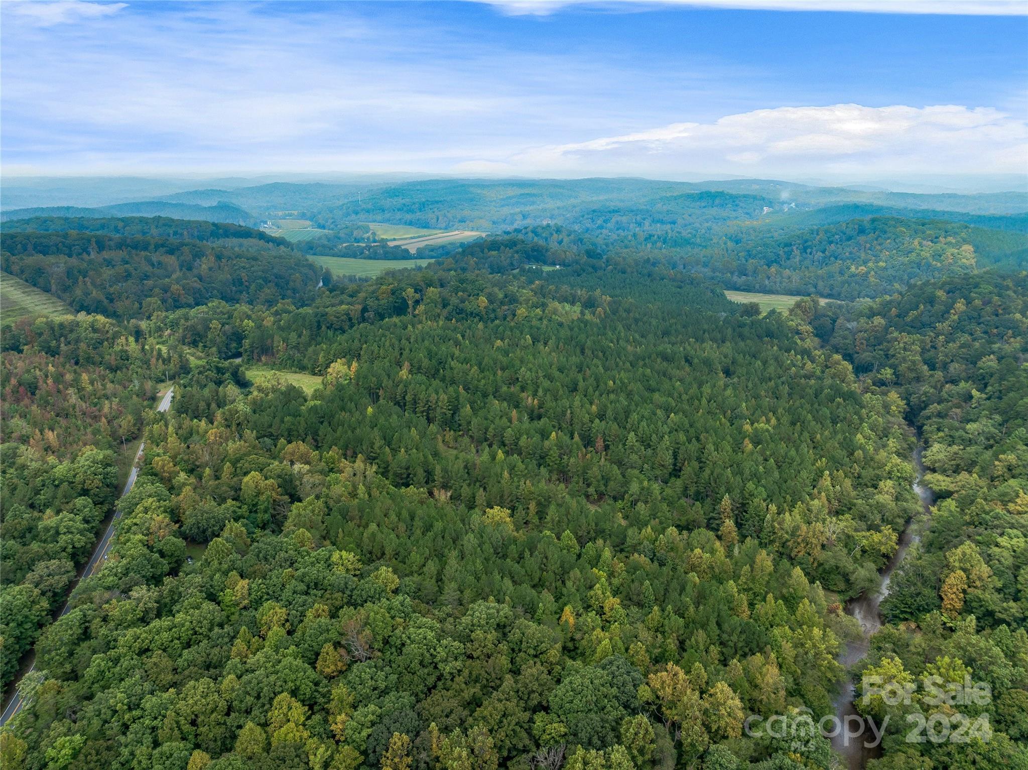 a view of a city with lush green forest