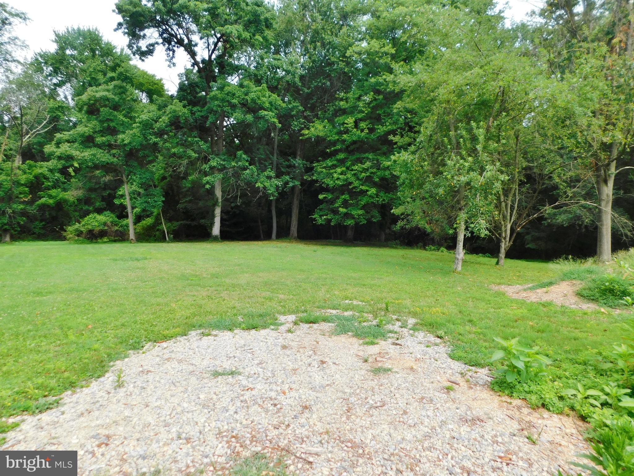 a view of a field with a trees in the background