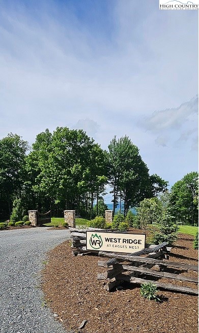 a view of a park with bench and trees