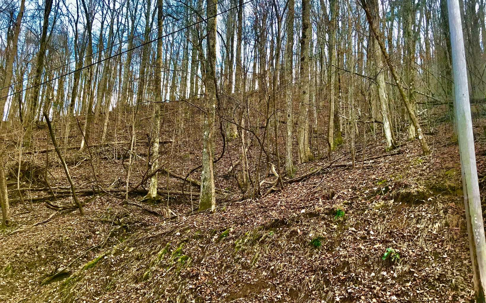 a view of a backyard of the house