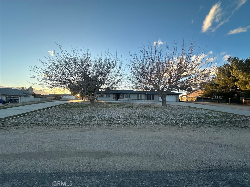 a view of a yard with a tree