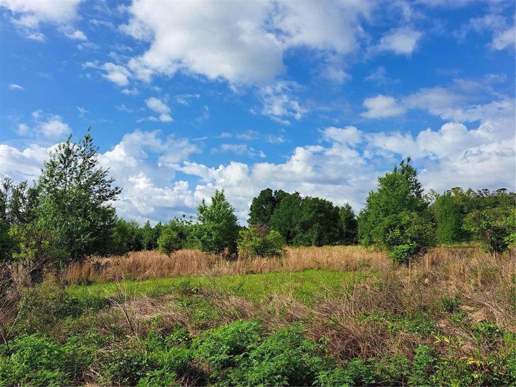 a view of backyard with green space