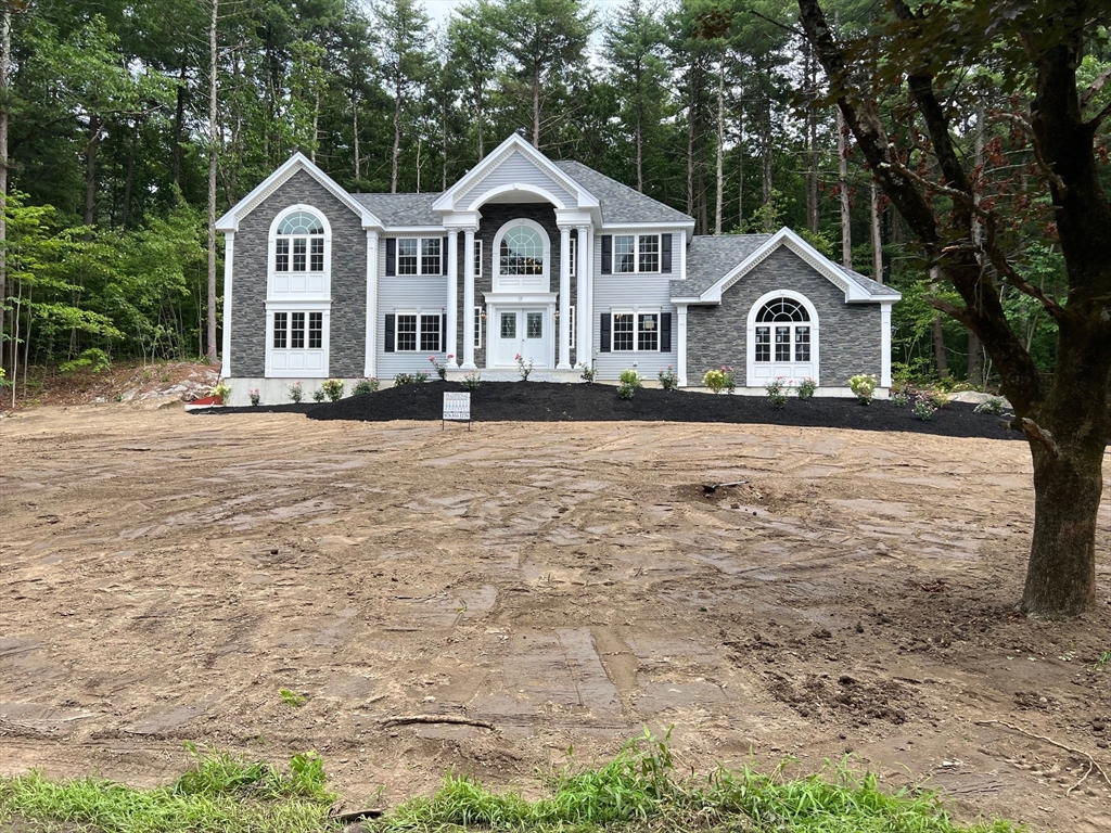 a front view of a house with yard and green space