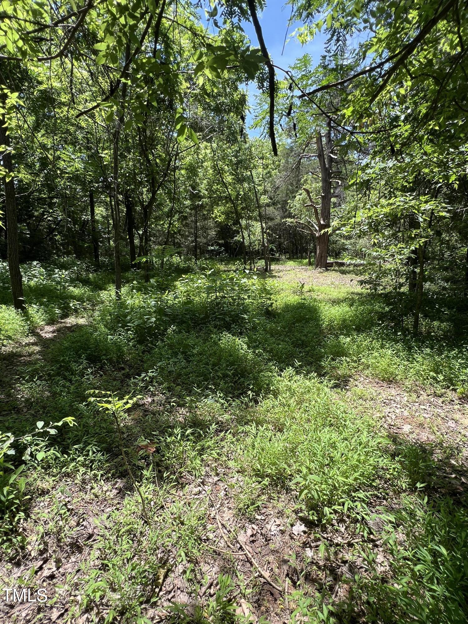 a view of outdoor space and yard