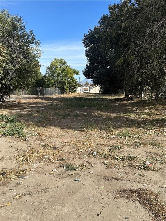 a view of a yard with a large tree