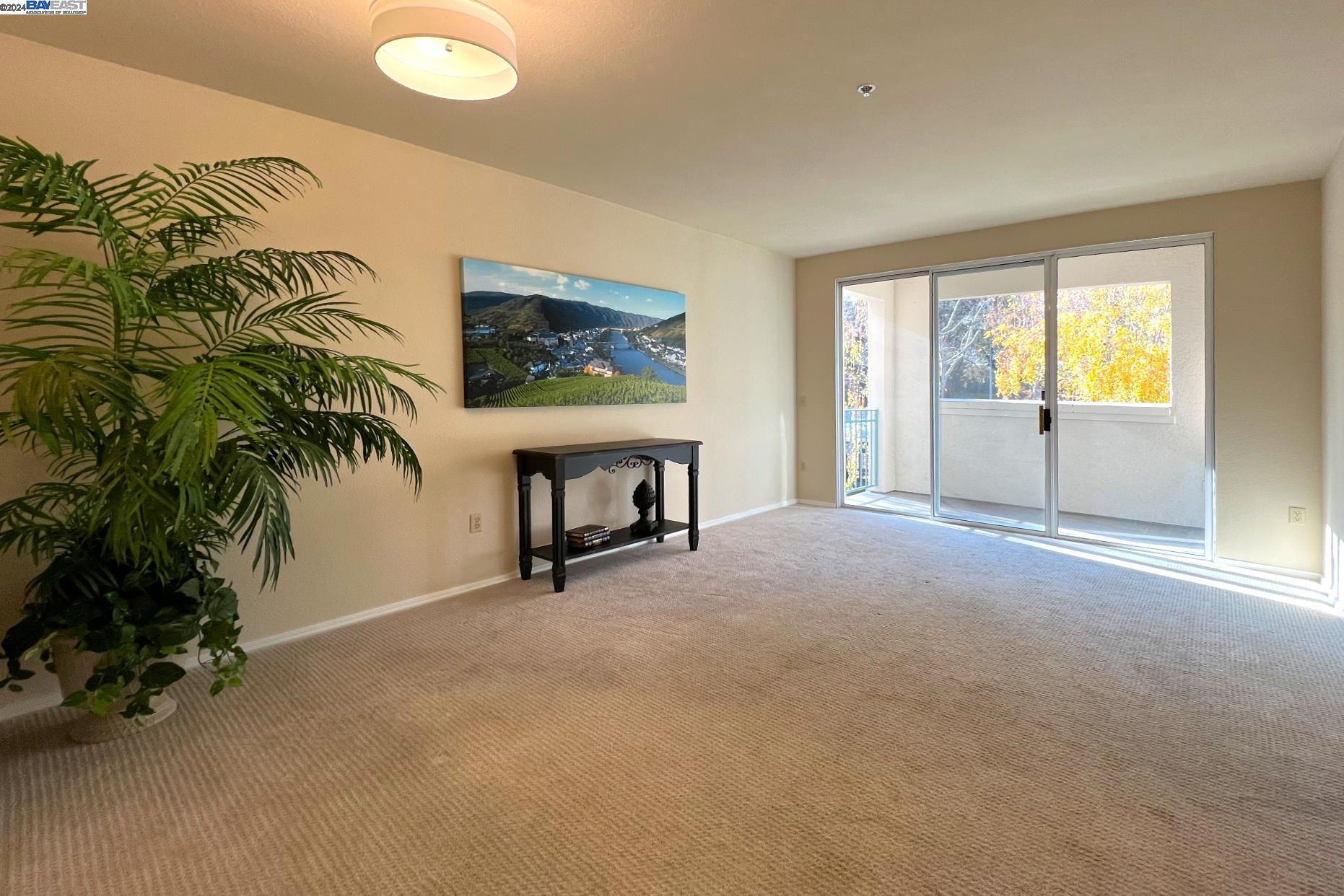 a view of livingroom with furniture and a potted plant