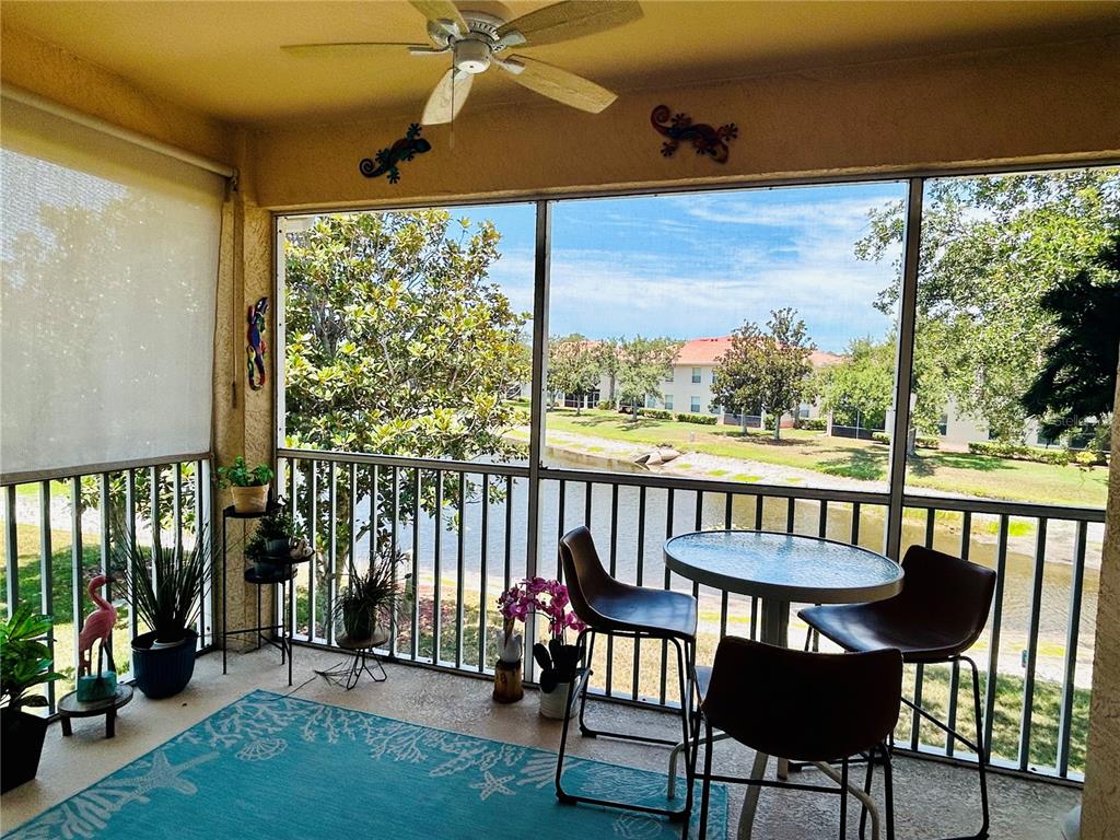 a view of a two chairs in the patio