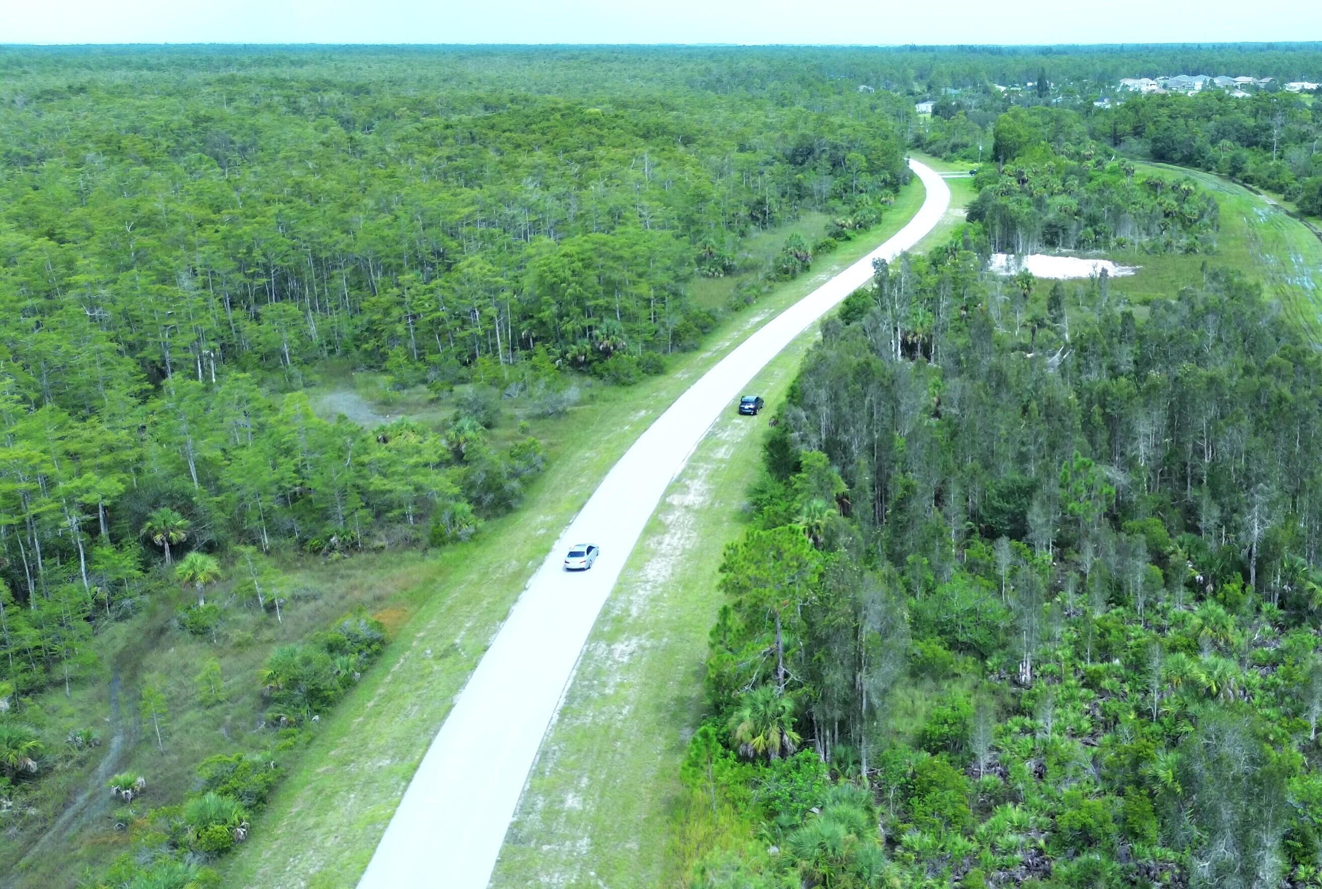 a view of a lush green forest with lots of trees